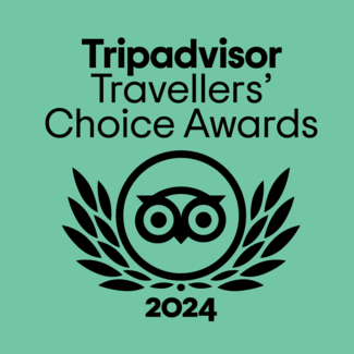 Tripadvisor award logo